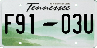 TN license plate F9103U