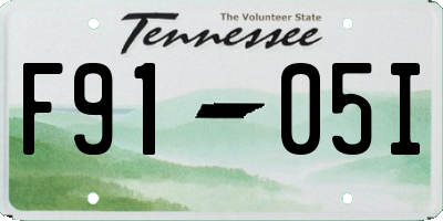 TN license plate F9105I