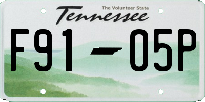 TN license plate F9105P