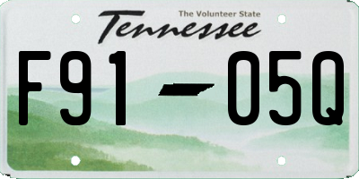 TN license plate F9105Q