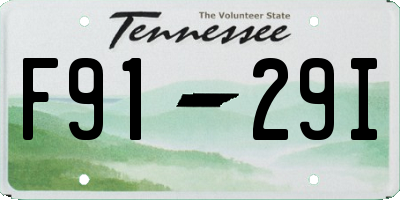 TN license plate F9129I