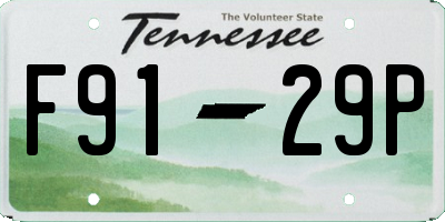 TN license plate F9129P