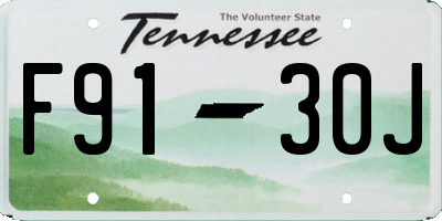TN license plate F9130J