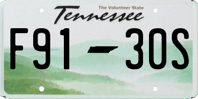 TN license plate F9130S