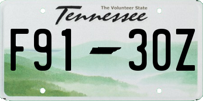 TN license plate F9130Z