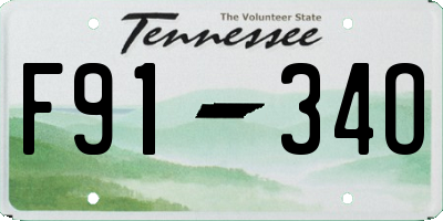 TN license plate F9134O