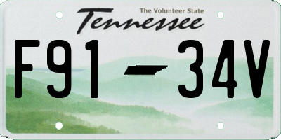 TN license plate F9134V