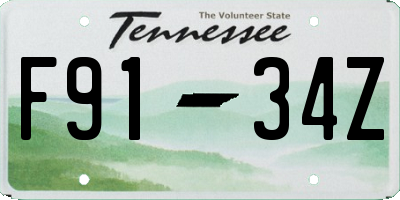 TN license plate F9134Z