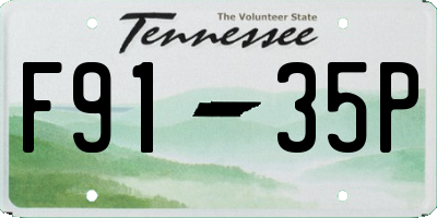 TN license plate F9135P