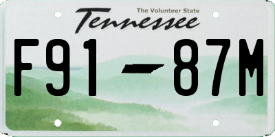 TN license plate F9187M