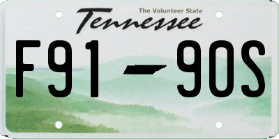TN license plate F9190S