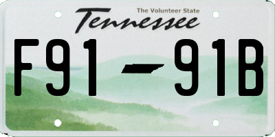 TN license plate F9191B