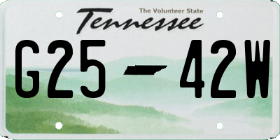 TN license plate G2542W