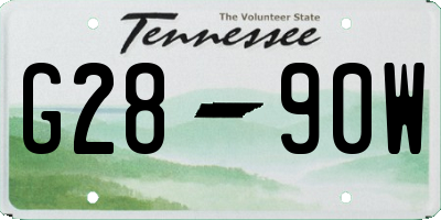 TN license plate G2890W