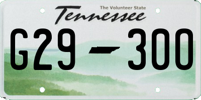TN license plate G2930O