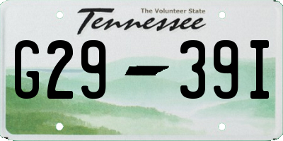 TN license plate G2939I