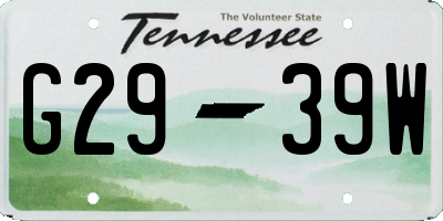 TN license plate G2939W