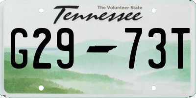 TN license plate G2973T