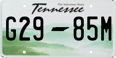 TN license plate G2985M