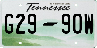 TN license plate G2990W