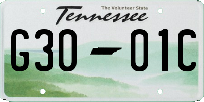 TN license plate G3001C