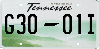 TN license plate G3001I