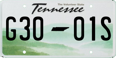 TN license plate G3001S