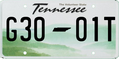 TN license plate G3001T