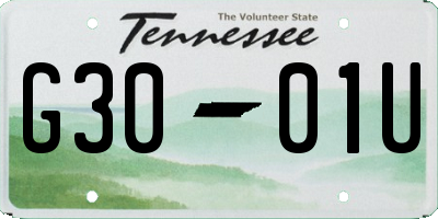 TN license plate G3001U