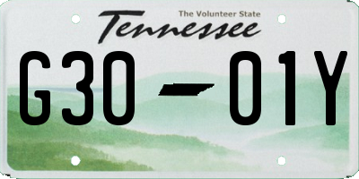 TN license plate G3001Y