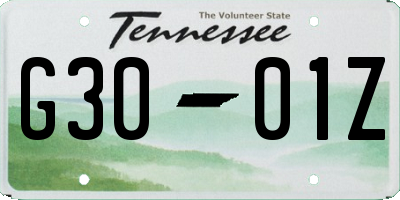 TN license plate G3001Z