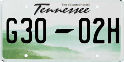 TN license plate G3002H