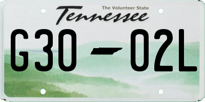 TN license plate G3002L