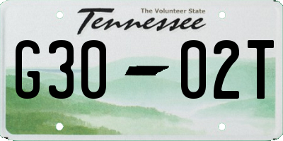TN license plate G3002T