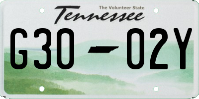 TN license plate G3002Y