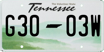TN license plate G3003W