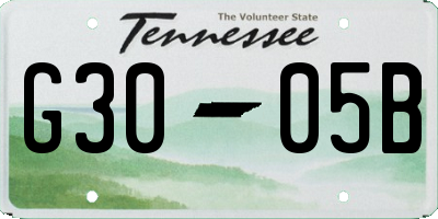 TN license plate G3005B
