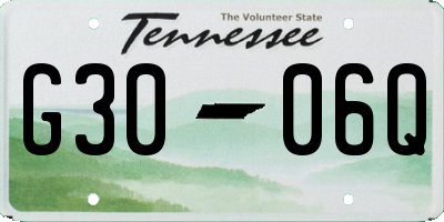 TN license plate G3006Q