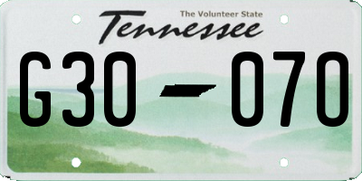 TN license plate G3007O