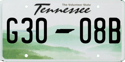 TN license plate G3008B