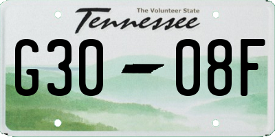 TN license plate G3008F