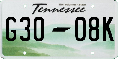 TN license plate G3008K