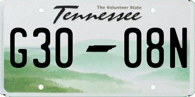 TN license plate G3008N