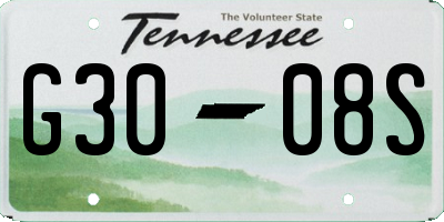 TN license plate G3008S