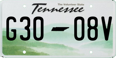 TN license plate G3008V