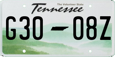 TN license plate G3008Z