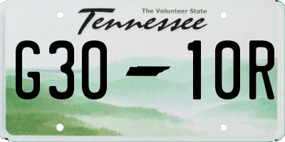 TN license plate G3010R