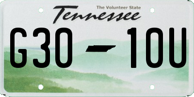 TN license plate G3010U