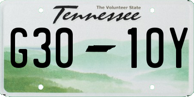 TN license plate G3010Y