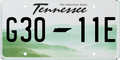 TN license plate G3011E